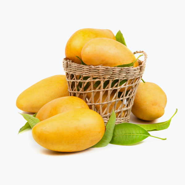 Mucho Mango Liquid - Image 2