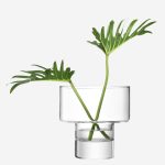Vase For Succulent Plants