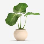 Flower Pot 3D Model