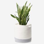 Plant Basket Modern Indoor