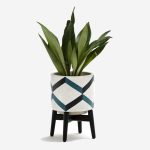 Succulent Planter Pot Set
