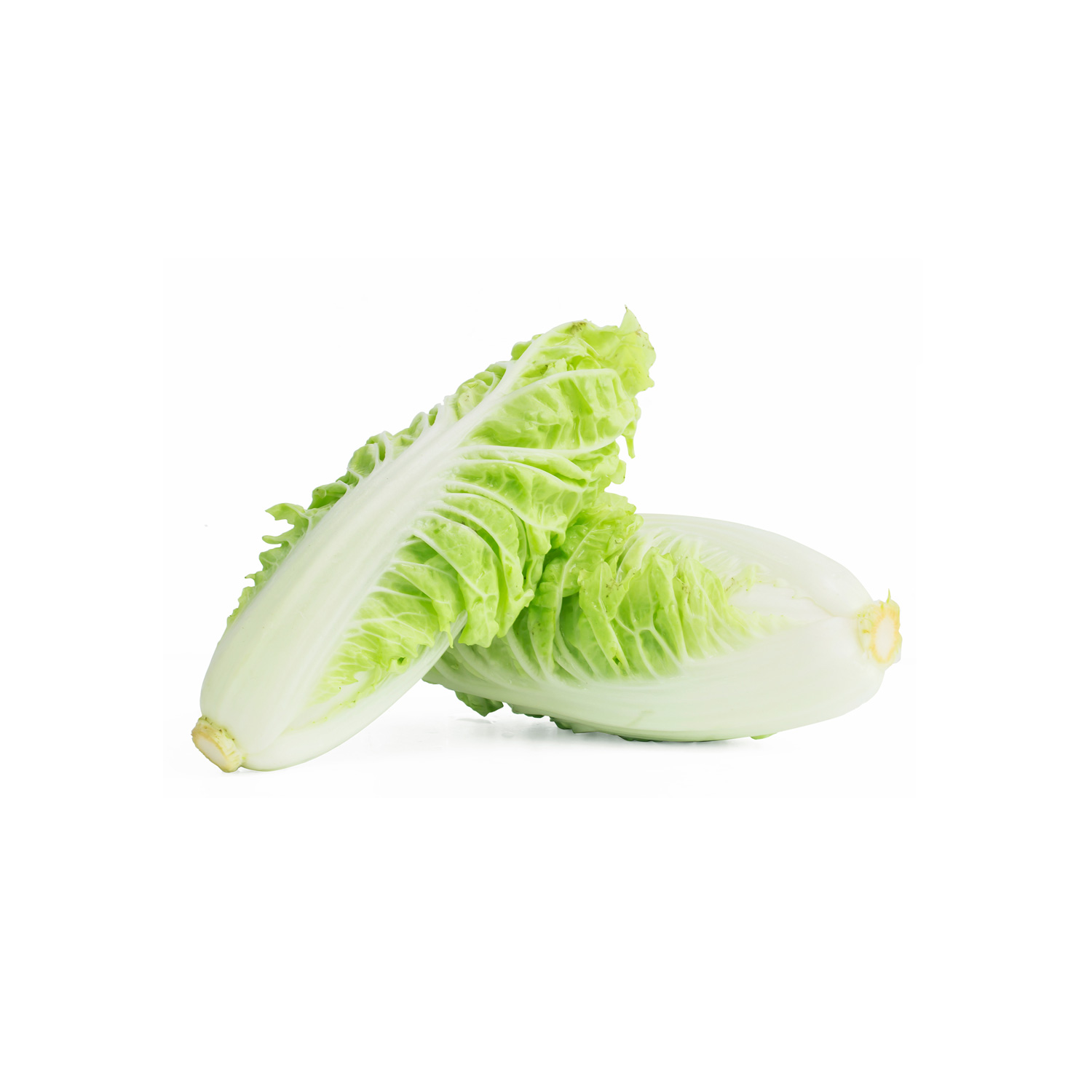 Radicchio Seeds Hybrid - Image 6