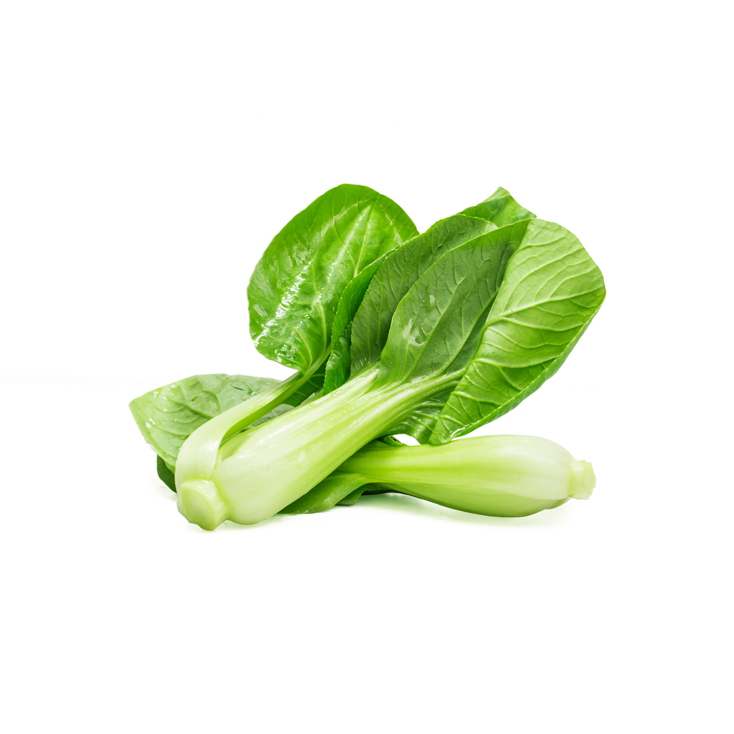 Radicchio Seeds Hybrid - Image 3